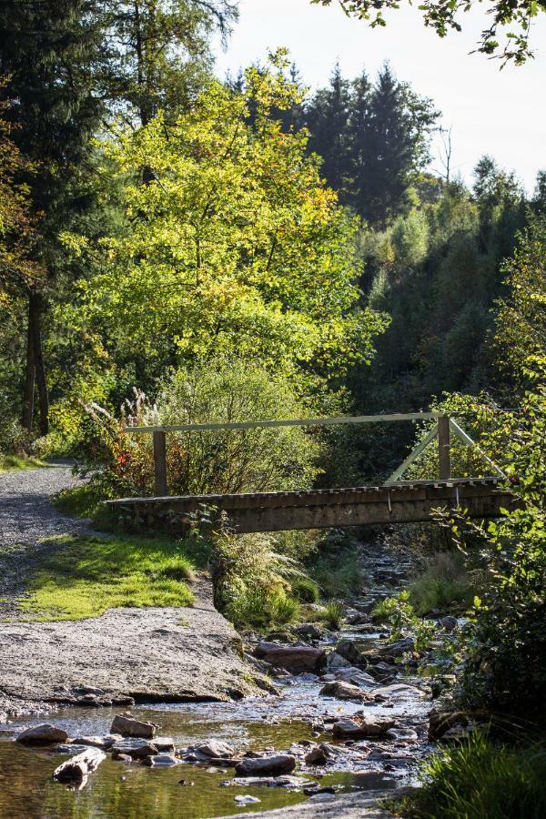 La Belle Du Bayehon Villa Malmedy Ngoại thất bức ảnh